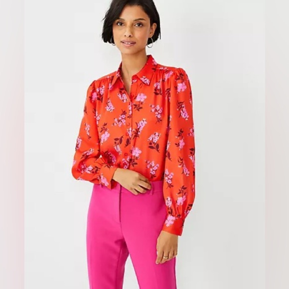 Ann Taylor